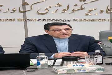 امور خارجه 2
